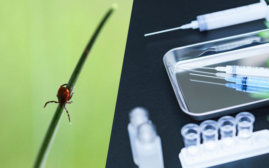 Design-Zyme, KU collaboration results in $3 million SBIR award for Lyme disease vaccine development